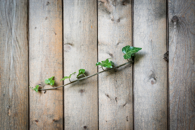 Garden Fence Installation